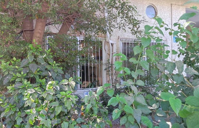 3 Br by park hayarkon 1min 2 Ichilov - Foto 8