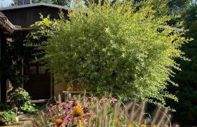 Spreewald Haus Boche - Foto 25