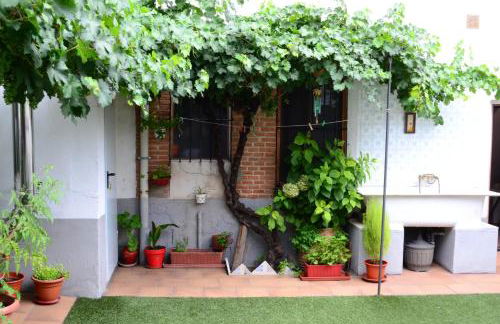 La Cantina de Daniel - Foto 14