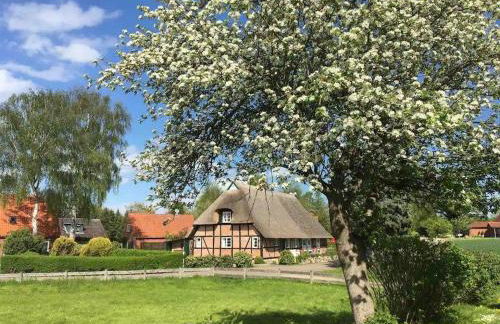 Haus-Ruhe-unter-Reet - Foto 1