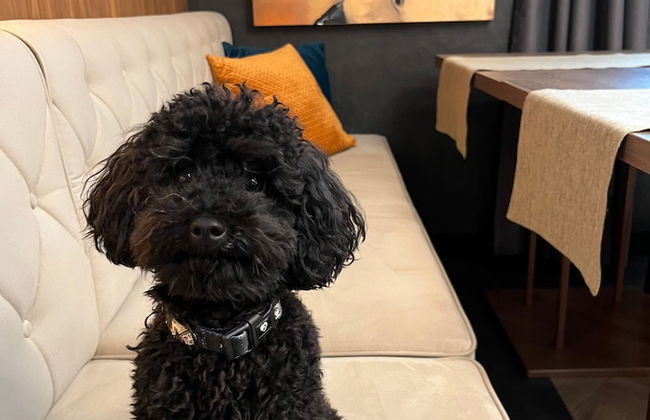 My Story Sopot Apartments - Foto 46