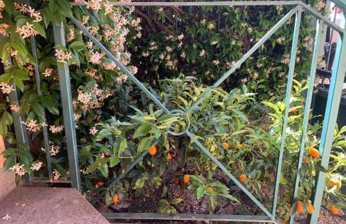 Villetta Caronni, Ostia Antica - Relax e mare a due passi da Roma - Foto 24