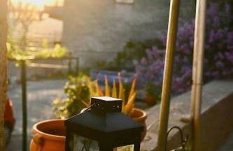 The Teacher's House - Foto 17