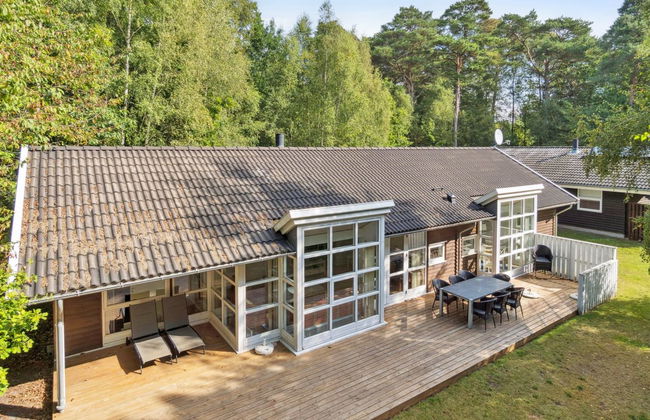 "Dorit" - 600m from the sea - Photo 6