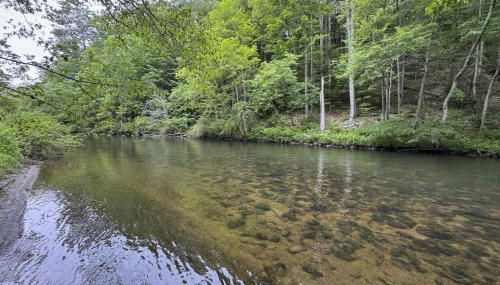 Stargazing Daydreamer - Foto 2