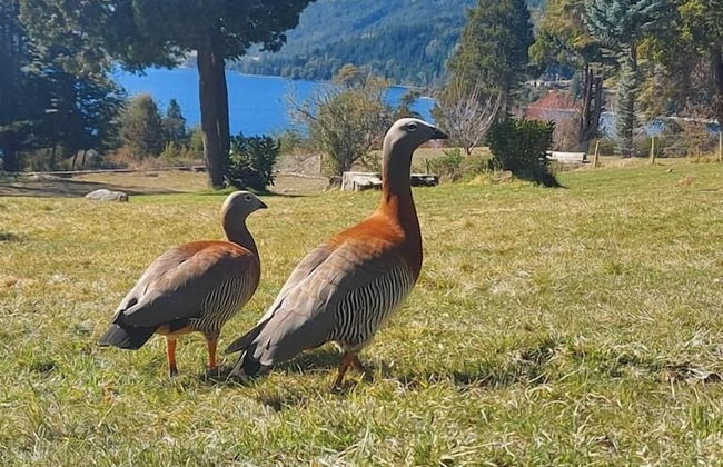 Casa del Lago - Photo 47