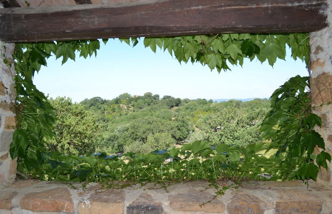 Az Agrituristica Bio Le Macchie Alte - Foto 42