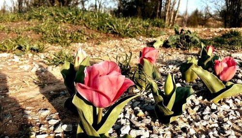 #4 Kentucky Bourbon Trail Bourbon Barrel Cottages - Foto 3