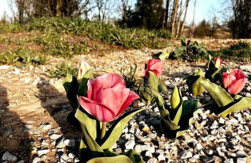 #4 Kentucky Bourbon Trail Bourbon Barrel Cottages - Foto 3