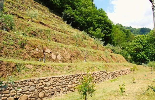 Lovely Cottage in Bagni di Lucca Amidst Fields - Photo 20