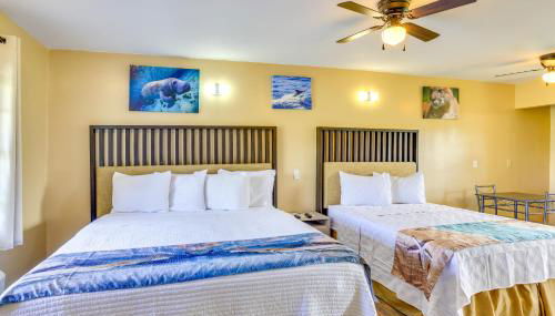 Pet-Friendly Studio 2 Mi to Dtwn Sebring! - Photo 5