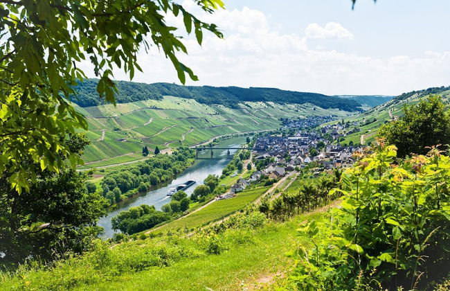 Restyled Villa with Washing Machine near River Moselle - Foto 35