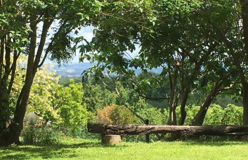 Poggio Etrusco sas di Sheldon Johns Pamela Kay - Foto 21