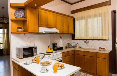 Roussospiti House With Swimming Pool - Foto 21