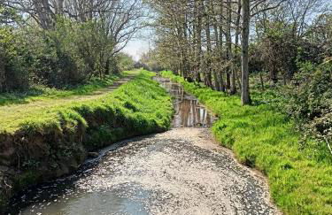 La Maison Des Caps AU BLANCNEZ - Foto 50