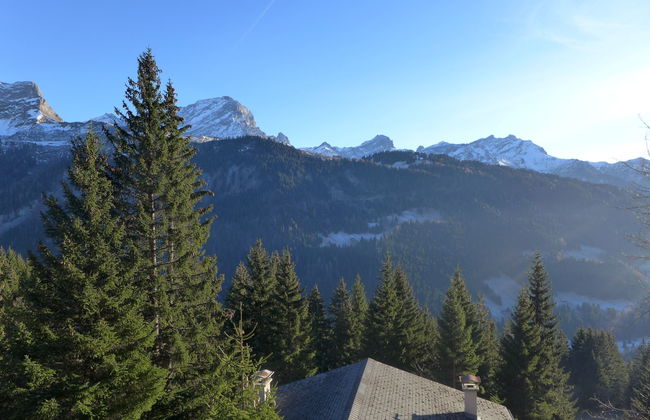 Les Arsets 301/11 - Foto 2