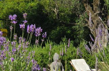 Apartment Picasso in large park with heated pool - Foto 24