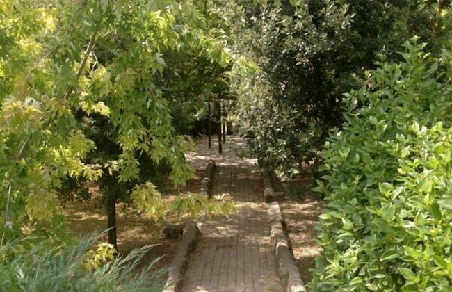 Poggiluglio - Foto 47