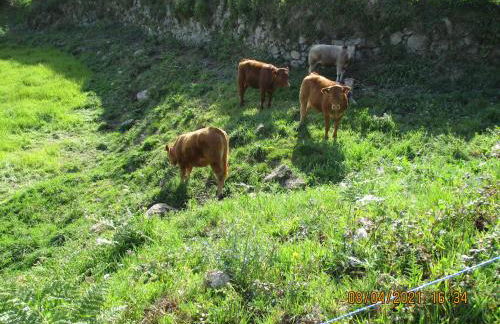 Azenha da Lavoura em Barrega - Foto 38