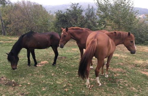 Casa do Vale - Foto 38