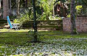 Rancho Fundo - Foto 17