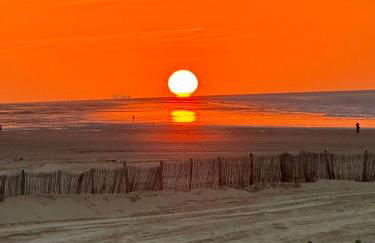 Front de Mer - Foto 11