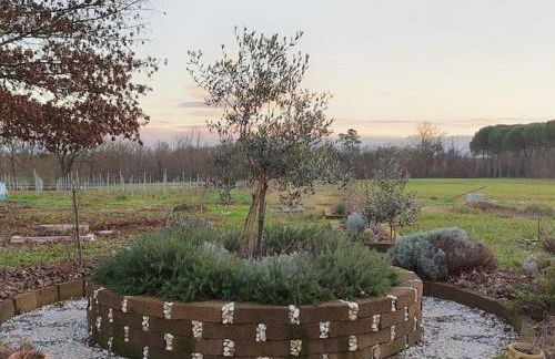 Villa Donnola: casa Rosmarino - Foto 5