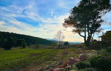 Το σπίτι στο δάσος - Foto 11