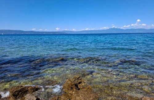 FoREST Heritage Apartment - Foto 58