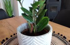 Domki Bieszczadzki Czar Rodzinny 661-850-410 - Photo 38