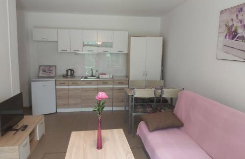 Leśne Zacisze Kretowiny 88 nad jeziorem Narie z własnymi pomostami apartamenty sezonowe lato - Foto 7