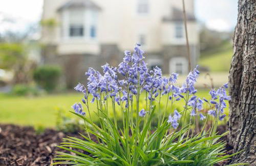 Llys Bach Apartment at Llys Aeron - Foto 24