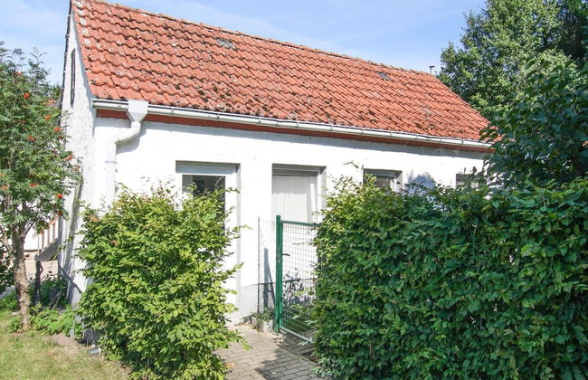 Ferienhaus im Mueritz-nationalpark - Photo 1