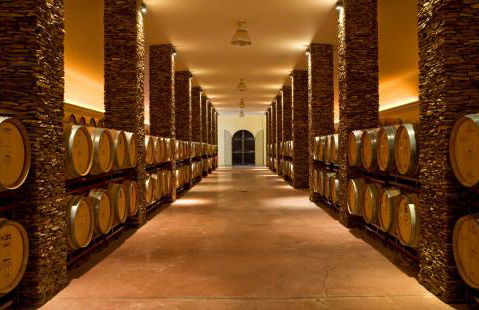 Herdade dos Grous - Foto 10