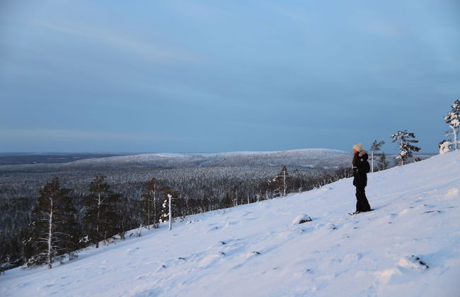 Arctic Verge - Foto 11