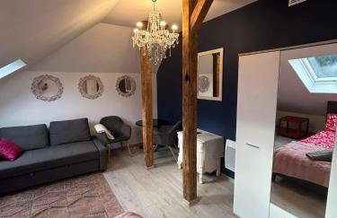 Ropienka ski micro - Foto 2