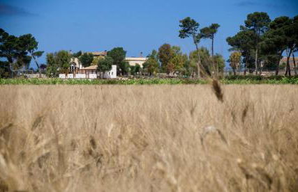 Residence Casale Verderame - Foto 38