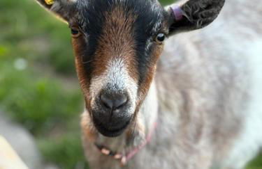 Eco house 2 - Foto 13