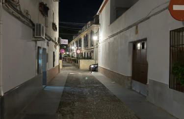 Las Nieves - Foto 11