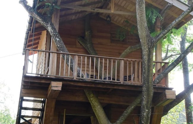 Wilpattu Tree House Hotel - Foto 55