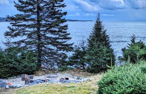 Oceanfront Crackling Cove Cottage Family firer pit slleeps 6 - Foto 37