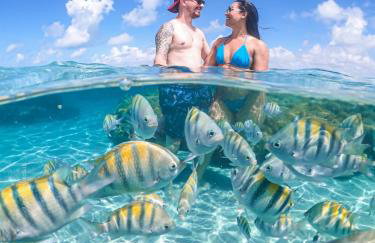 Villa Vinci Flat - Foto 42