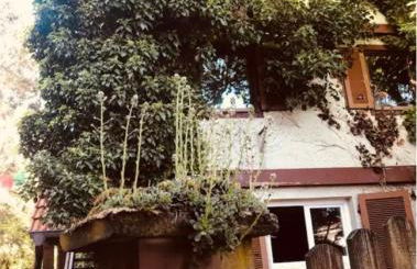 Ferienwohnungen auf einem ehemaligen Bauernhof - Foto 8