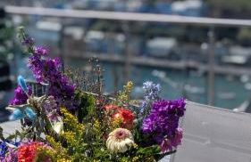 The Hillocks, Looe - Two Bedroom House with Fabulous Views of Looe Town and Harbour - Foto 21