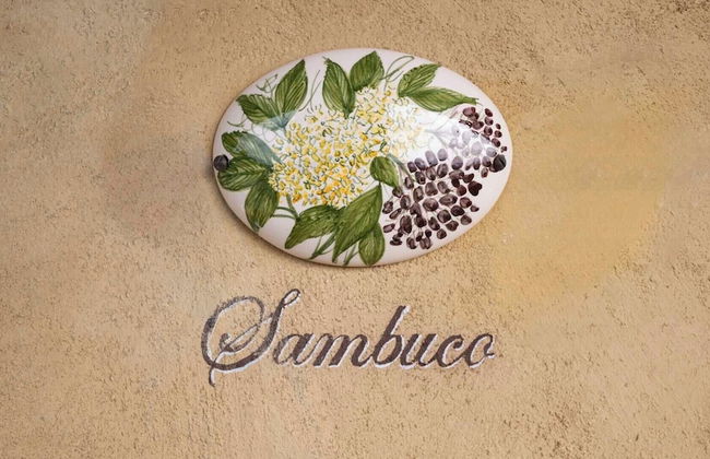 Tenuta il Sassone - Wine & Food - Foto 24