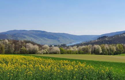 Roosartige Ferien - Ferienwohnung im Hanswieschen - Oberwesel Bacharach - Foto 27