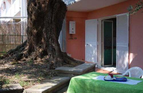 Residence Belvedere - Foto 50