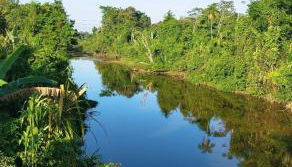 casa da mata - Foto 2