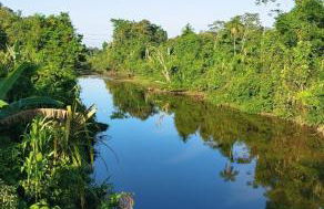 casa da mata - Foto 2