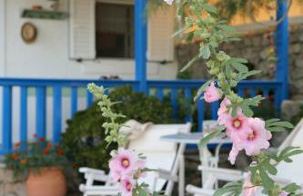 Little Blue - Photo 8